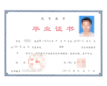 网络教育